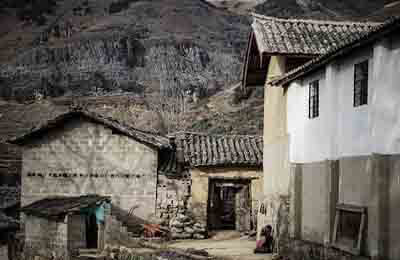 鄉村生態振興案例