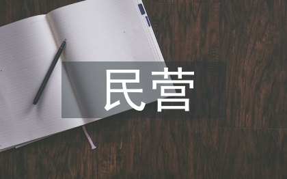 民營企業會計探討